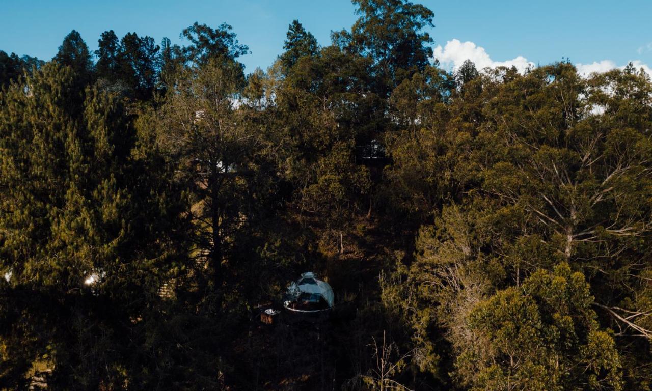 Domus Glamping Guatape Ξενοδοχείο Εξωτερικό φωτογραφία
